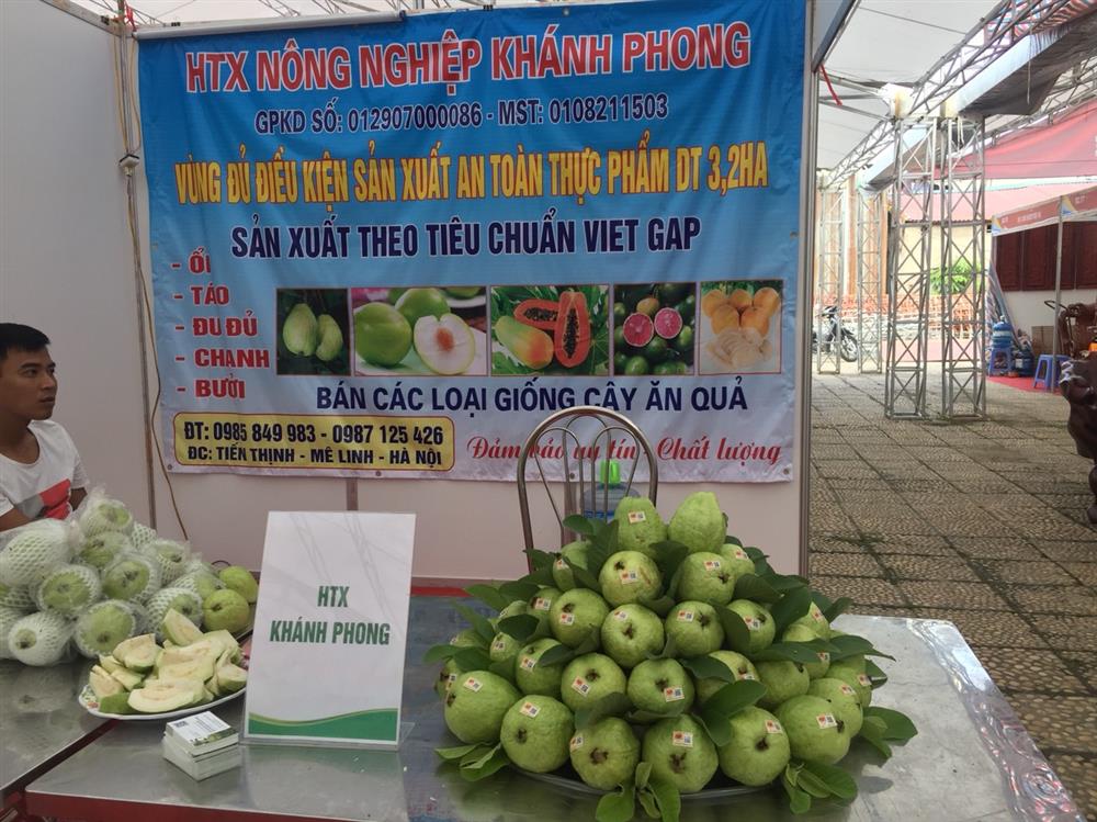 HTX nông nghiệp Khánh Phong – sản xuất nông sản sạch đạt chỉ tiêu VietGap